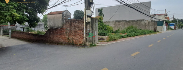 Bán 50m2 đất tại Lương Nỗ, Tiên Dương, đường thông, ô tô tránh, gần vành đai 3-02