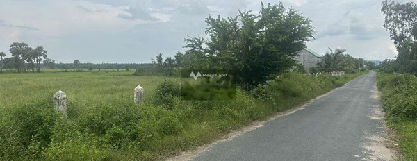 Mặt tiền nằm ngay tại Văn Giáo, An Giang bán đất giá hợp lý từ 320 triệu diện tích đúng với trên ảnh 150m2-03