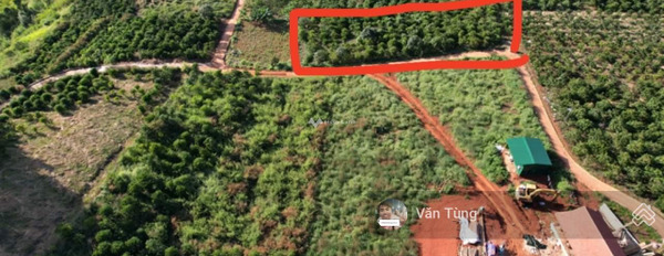 Gấp bán mảnh đất, 1175m2 giá bán hiện tại 2 tỷ vị trí mặt tiền ở Lâm Hà, Lâm Đồng cực kì tiềm năng-03