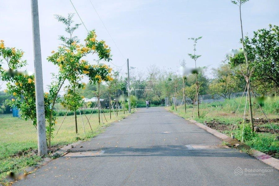 Mặt tiền tọa lạc ngay ở Bàu Hàm, Đồng Nai bán đất giá bán thỏa thuận từ 1 tỷ diện tích rộng rãi 108m2-01