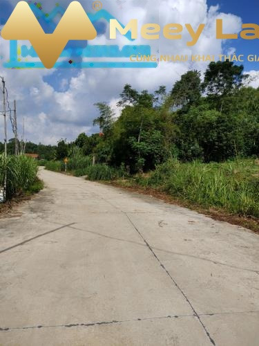 Giá khoảng từ 2.28 tỷ bán đất dt tầm trung 2400 m2 mặt tiền nằm ở Liễn Sơn, Vĩnh Phúc-01