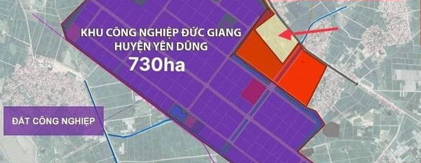 Bán đất nền trung tâm 645 ha khu công nghiệp Yên Dũng, Bắc Giang, sẵn sổ đỏ-03
