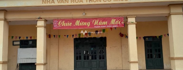 Nhà 1 phòng ngủ bán nhà ở diện tích chuẩn 1965m2 bán ngay với giá từ 4.05 tỷ vị trí thuận lợi ngay ở Thụy Lâm, Đông Anh, hướng Đông Nam-02