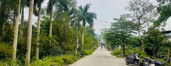 Mua bán đất thị xã Hương Thủy tỉnh Thừa Thiên Huế-02