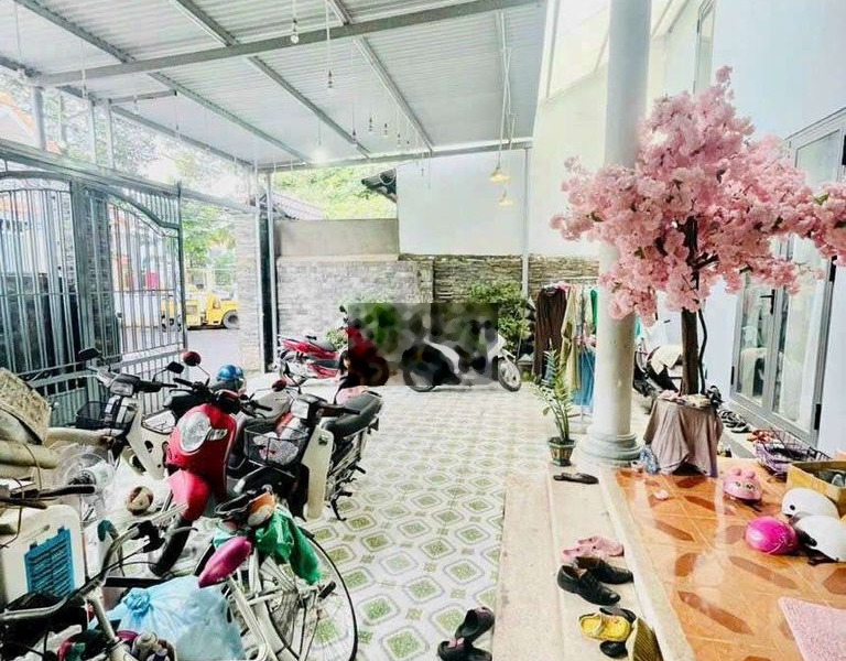 Đất biệt thự khu cư xá Phúc Hải - P.Tân Phong - 12 X 21 m2 nở hậu -01