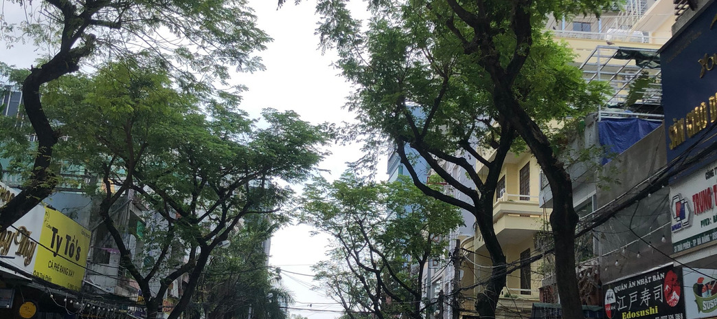 Bán nhà 2 tầng đường Trịnh Công Sơn, Hòa Cường Nam, Hải Châu