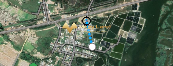 Bán nền thổ cư 5x20=100m2, vị trí nằm trên Bình Sơn, Quảng Ngãi-03