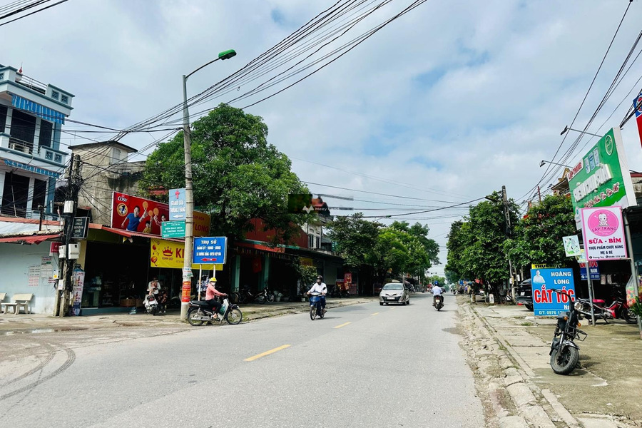Nằm tại Thường Thắng, Bắc Giang bán đất 850 triệu, hướng Nam với diện tích 180m2-01