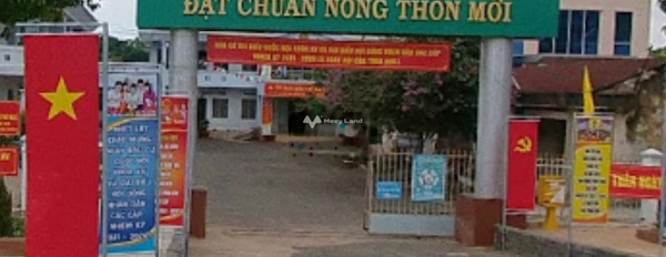 Mặt tiền tọa lạc tại Phú Ngọc, Định Quán bán đất giá khởi điểm 700 triệu diện tích thực dài 1020m2-02