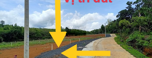 Bán đất có diện tích thực là 200m2 vị trí đặt nằm ngay Dĩ An, Bình Dương-03