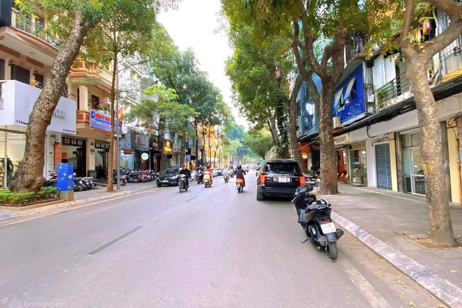 Giá bán cực sốc chỉ 40 tỷ bán nhà diện tích gồm 62m2 vị trí tiện lợi ngay tại Nguyễn Du, Hà Nội tổng quan nhà gồm 5 PN 5 WC vị trí siêu đẹp-01