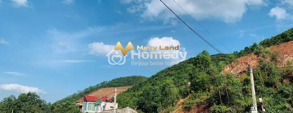 Phượng Sơn, Bắc Giang 1.95 tỷ bán đất diện tích thực như trên hình 150 m2-02