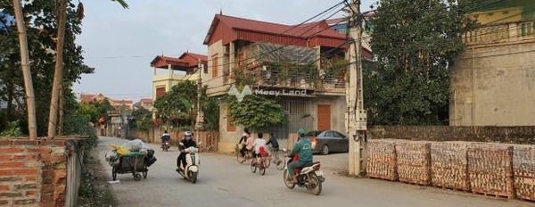 Giá không trung gian 1.19 tỷ bán đất có diện tích chung 70m2 vị trí trung tâm Quốc Lộ 2, Tân Dân-02