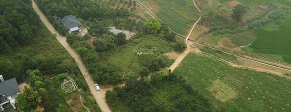 Bán đất giá 16 tỷ tại Đông Xuân, Quốc Oai. Diện tích 2000m2-02