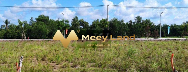 Giá cạnh tranh 250 triệu bán đất với dt rộng 100 m2 vị trí đẹp tọa lạc tại Huyện Thủ Thừa, Tỉnh Long An-02