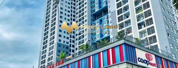 Cho thuê căn hộ ngay trên Quận Thủ Đức, Hồ Chí Minh, giá quy định chỉ 6 triệu/tháng có diện tích tổng 63m2-03
