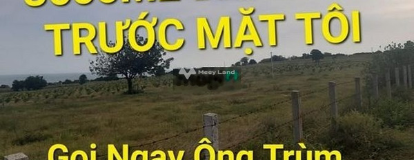 9 tỷ bán đất với diện tích rộng 3600m2 Phía trong Trung Lập Hạ, Hồ Chí Minh-02