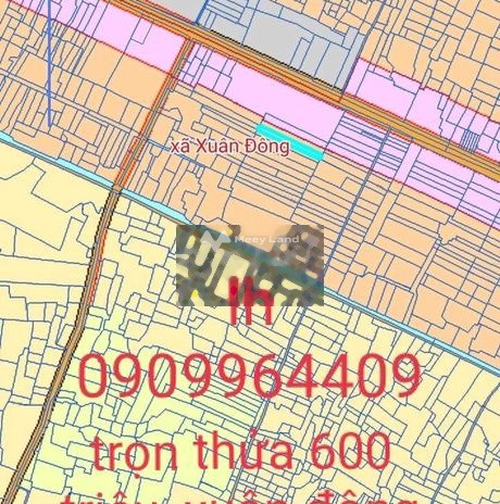 Bán đất 700 triệu Phú Lợi, Định Quán diện tích 1025m2
