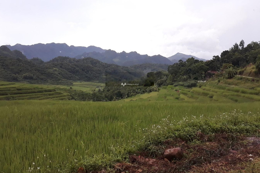 Tọa lạc tại Thành Lâm, Thanh Hóa bán đất, giá bán giao lưu 6 tỷ tổng diện tích là 4753m2-01