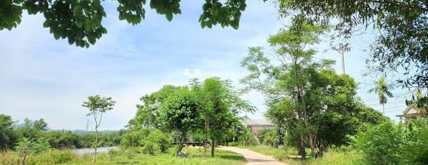 Văn Lang, Thừa Thiên Huế bán đất giá hấp dẫn chỉ 480 triệu, hướng Tây Bắc tổng diện tích 114m2-03
