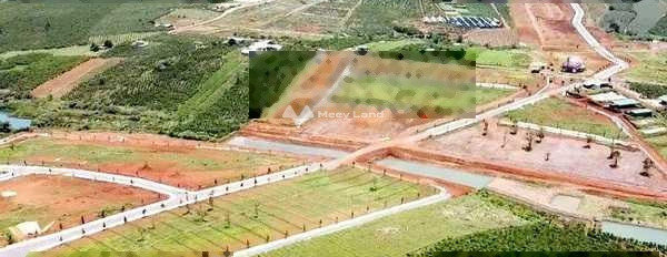 Ở Bảo Lâm, Lâm Đồng bán đất 8.75 tỷ có diện tích chuẩn 12500m2-03
