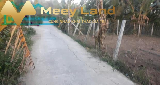Đường Hùng Vương, Xã Long Hưng bán đất giá giao lưu chỉ 2 tỷ diện tích chung quy 784 m2-01