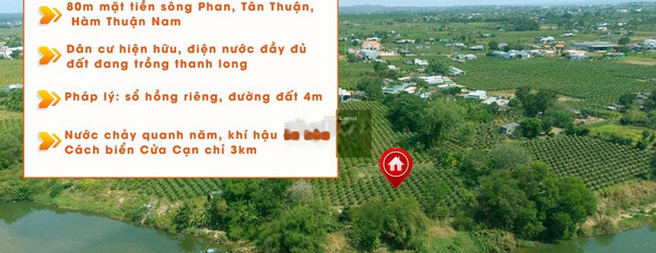 Bán đất 1.8 tỷ Tân Thuận, Bình Thuận với tổng diện tích 2034m2-02