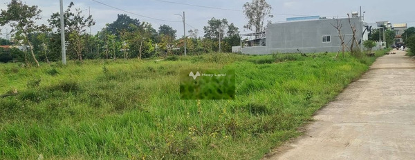 Giá hạt dẻ 619 triệu bán đất diện tích chính là 120m2 tại Hòa Vang, Đà Nẵng-02