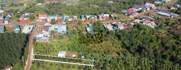 Vị trí đặt ở tại Đắk R'Lấp, Đắk Nông bán đất giá mua liền chỉ 500 triệu diện tích khoảng là 324m2-02