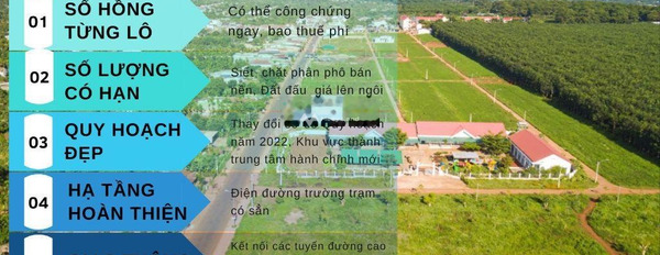 Phú Lộc, Krông Năng 550 triệu bán đất diện tích rộng lớn 132m2-03