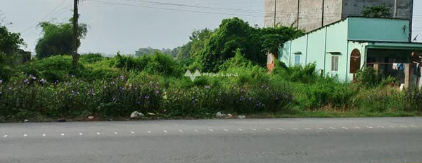 Bán gấp đất gần trường THCS Nguyễn Thị Bảy, Đ. Nguyễn An Ninh, Tân Lập, Cần Giuộc, 120m2/550tr. -02