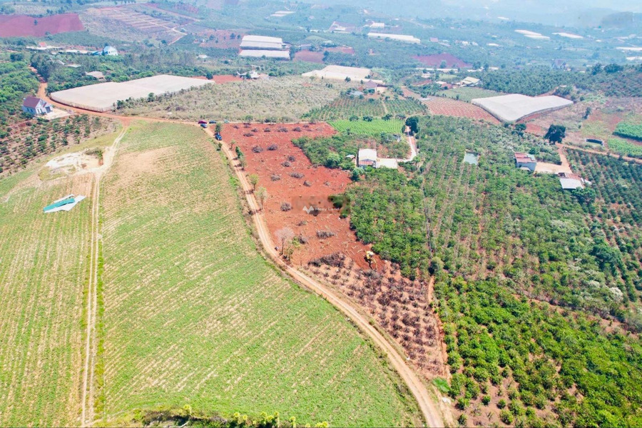 Bán mảnh đất, giá bán tốt nhất 400 triệu diện tích dài 150m2-01