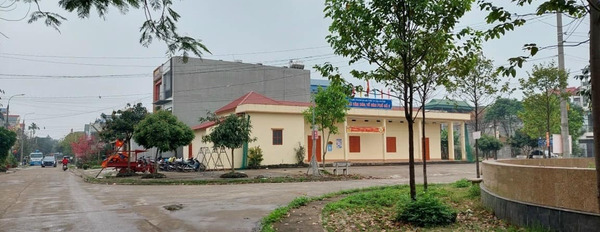 Bán lô đất 100m2 bám đường quy hoạch phường Quang Vinh, Thái Nguyên-03