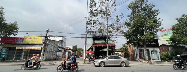 Đất 216m 2 mặt tiền kinh doanh đường Lê Hồng Phong gần ngã 3 Cây Điệp -03