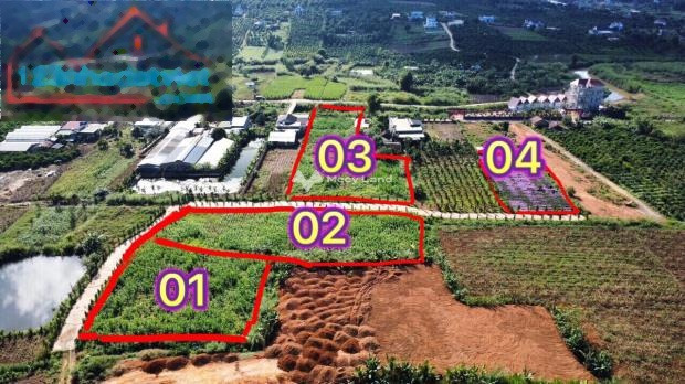 Giá bán giao động 2.4 tỷ bán đất diện tích rộng 1624m2 tọa lạc ngay tại Nam Ban, Lâm Hà-01