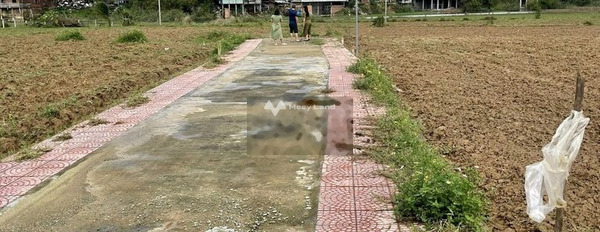 Bán đất tại Đại Quang, Đại Lộc. Diện tích 234m2-02