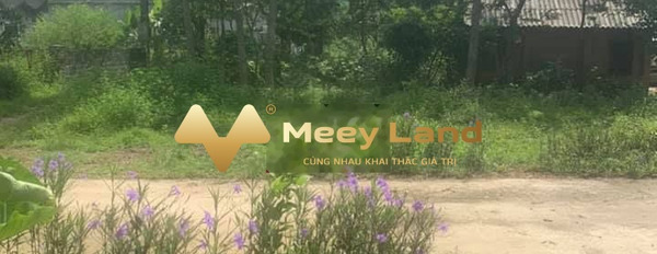 Nằm trong mức 520 triệu, bán đất 410 m2, vị trí đặt nằm ngay Long Sơn, Lương Sơn-02