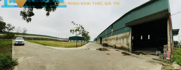 Vị trí mặt tiền ngay trên Lam Sơn, Thanh Hóa cho thuê kho bãi 19400 m2 thuê ngay với giá khuyến mãi 360 triệu/tháng giao thông thuận lợi-02