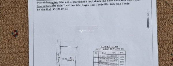 Cần bán đất gần sân bay Phan Thiết, lô 2 đường 715 giá rẻ -02