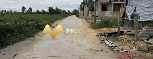 Đi nước ngoài cần bán đất Phú Vang, Thừa Thiên Huế giá hợp lý 780 triệu dt khoảng là 100 m2-02