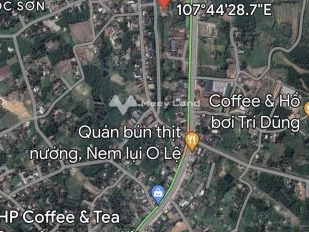 Lộc Sơn, Phú Lộc 999 triệu bán đất diện tích đúng với trên ảnh 500m2-03