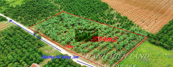 1.08 tỷ bán đất với diện tích chuẩn 3150m2 vị trí mặt tiền tọa lạc ở Ninh Gia, Lâm Đồng-02