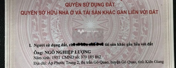 Cho thuê nhà, thuê ngay với giá chốt nhanh từ 12 triệu/tháng có diện tích thực là 180m2 vị trí mặt tiền ngay tại Đường 3/2, Gò Quao-02