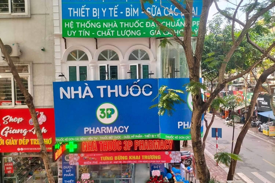 Bán nhà ở diện tích 50m2 giá bán êm 23 tỷ vị trí đặt ở tại Điện Biên, Hà Nội-01