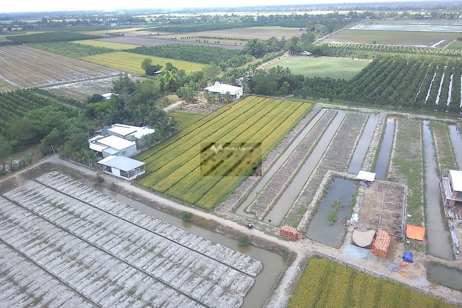 Vị trí thuận lợi tọa lạc trên Mỹ Thuận, Vĩnh Long bán đất, giá bán siêu tốt 850 triệu có một diện tích 2500m2-01