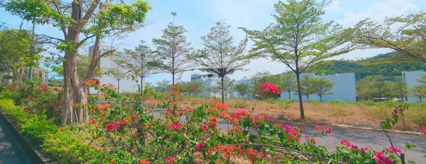 Có diện tích gồm 84m2 Hoàng Phú Nha Trang bán đất-03