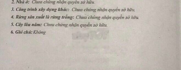 Bán đất MT đường Nguyễn Chánh, Liên Chiểu, Đà Nẵng -03