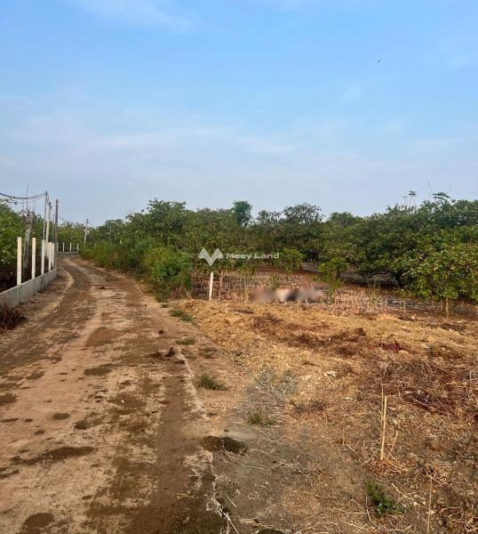 Bán đất nền dự án 5288m2 tại Xuân Tây, Cẩm Mỹ, Đồng Nai, giá 4 tỷ-01