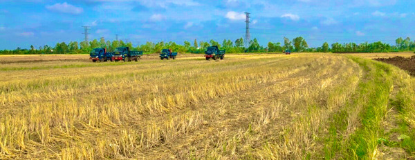 Bán đất tại Thanh Nhung, Phước Trung diện tích 13000m2 đất trồng lúa, giá 400 triệu công. Tổng giá 5,2 tỷ-03