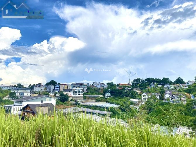 Vị trí đặt tọa lạc ngay tại Phường 8, Lâm Đồng bán đất giá thỏa thuận chỉ 29.7 tỷ diện tích 650m2, bề ngang đường rộng 8 mét-01